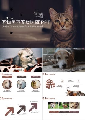 宠物美容宠物医院PPT宠物美容/宠物领养/宠物用品/宠物救治/卫生护理